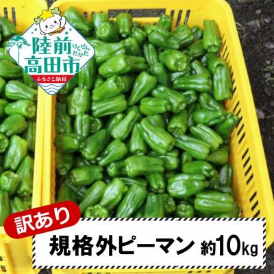 ふるさと納税 陸前高田市 【先行受付】 訳あり 規格外 ピーマン 約10kg 野菜 夏野菜 Farm Koganeyama