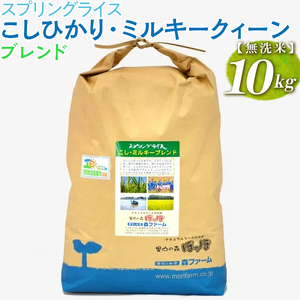 【新米】スプリングライス こしひかり・ミルキークィーン ブレンド (無洗米)10kg ※着日指定不可 _BI42