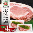 【ふるさと納税】ブランド豚「ばんぶぅ」小分け リブロース ソテー用 選べる 1kg 2kg 4kg 冷凍便 1キロ たっぷり 豚肉 豚ロース ポークソテー用 豚リブロース 希少部位 ぶた肉 ブタ肉 国産 茨城県産 ギフト プレゼント お祝い