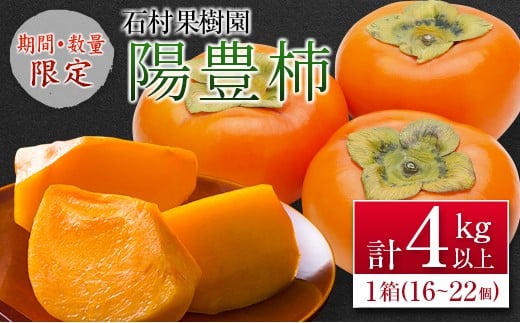 
            ＜期間・数量限定＞石村果樹園の『陽豊柿(ようほうがき)』計4kg以上 宮崎県新富町産【B624-25】
          