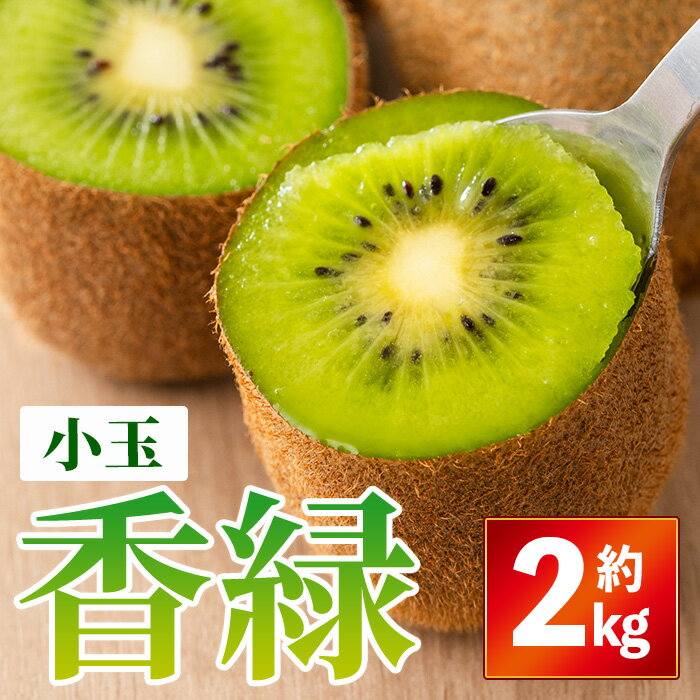 【ふるさと納税】＜期間限定！2025年11月下旬以降順次発送予定＞香川県産 香緑キウイ(約2kg/小玉) 国産 果物 くだもの 産地直送 フルーツ キウイフルーツ 新登場 【man354】【Aglio nero】