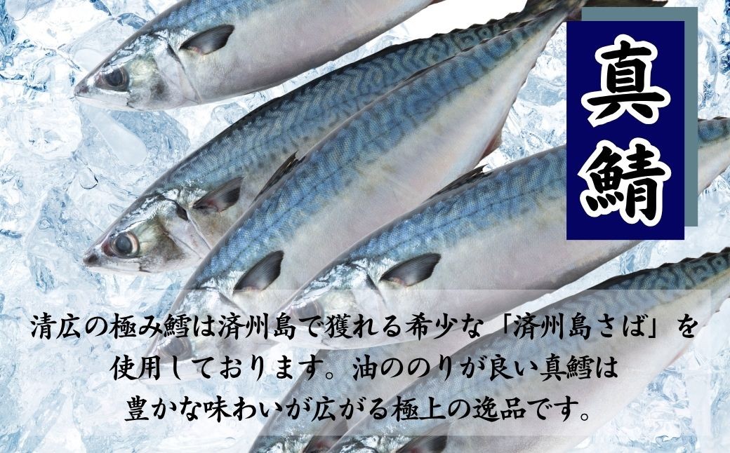 希少な済州島の厳選真鯖をしめ鯖と炙りで食べ比べ！