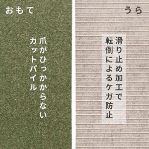 水が転がる程の撥水性!防水ペットマット「UKU」40枚セット グリーン【複数個口で配送】【4074731】