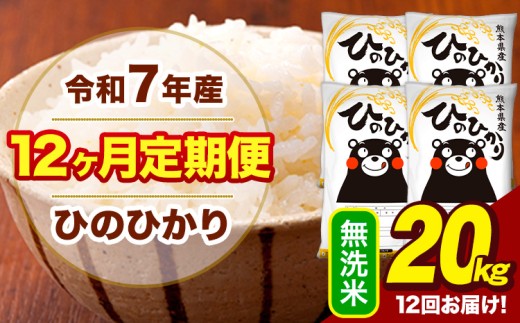 令和7年産 【12ヶ月定期便】  無洗米 米 ひのひかり 20kg《お申込月の翌月から出荷開始》熊本県 大津町 国産 熊本県産 無洗米 送料無料 ヒノヒカリ こめ お米
