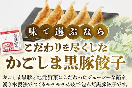 015-17 定番のかごしま黒豚餃子60個(タレ付）