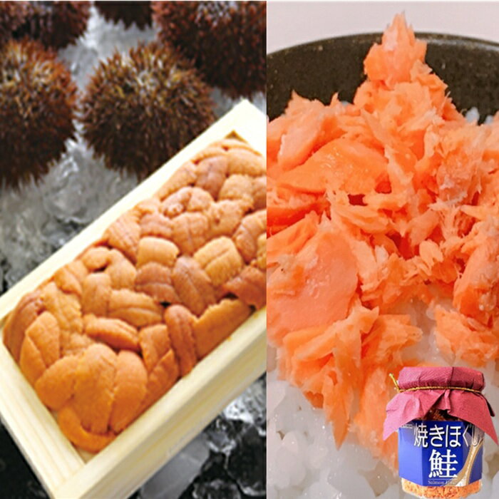 【ふるさと納税】エゾバフンウニ約60～70g×1折・焼きほぐし鮭100g×1瓶[10月下旬以降発送] A-71053