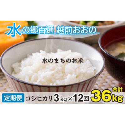 ふるさと納税 大野市 【令和7年産】【12ヶ月定期便】こしひかり 3kg×12回 計36kg【白米】「エコファーマー米」