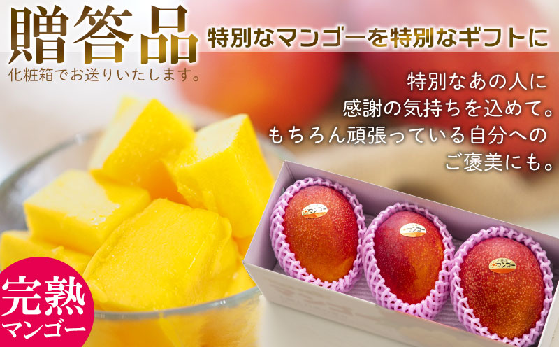 【9月・数量限定企画】【2026年発送】農園一番人気の完熟アップルマンゴー秀品・約2kg農園から直送！ 秀品 先行予約 沖縄 甘味 糖度 濃厚 美味しい お土産 おいしい ギフト とろける甘さ 香り 
