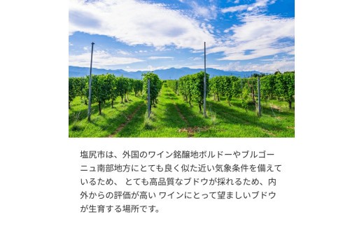 樽香広がる、深み極まるメルロ