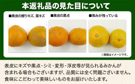 貯蔵熟成 極早生みかん(日南1号) 約5kg S～2L 家庭用 サイズ混合 横川果樹園
