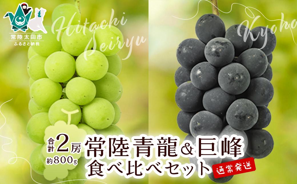 
            【先行予約 数量限定】【旬の時期発送】ぶどう食べ比べ 常陸青龍１房（常陸太田市オリジナル品種）＆巨峰１房 約800g【食べ比べ ぶどう 旬 季節 常陸太田オリジナル品種 果汁 酸味 甘味 バランス コク 味わい 冷蔵庫 デザート ぜいたく 種あり ファミリー 子ども 茨城県 常陸太田市】
          