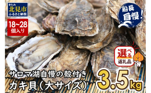 【2024年11月中お届け】サロマ湖自慢の殻付きカキ貝 大 3.5kg詰め ( 牡蠣 かき 濃厚 大きい 魚介類 貝類 殻付 殻付き牡蠣 BBQ バーベキュー )【114-0010-2024】