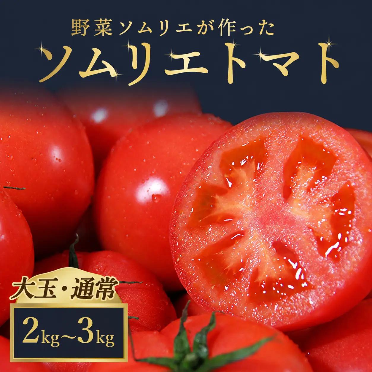 トマト 大玉 2kg～3kg｜レッドアップ