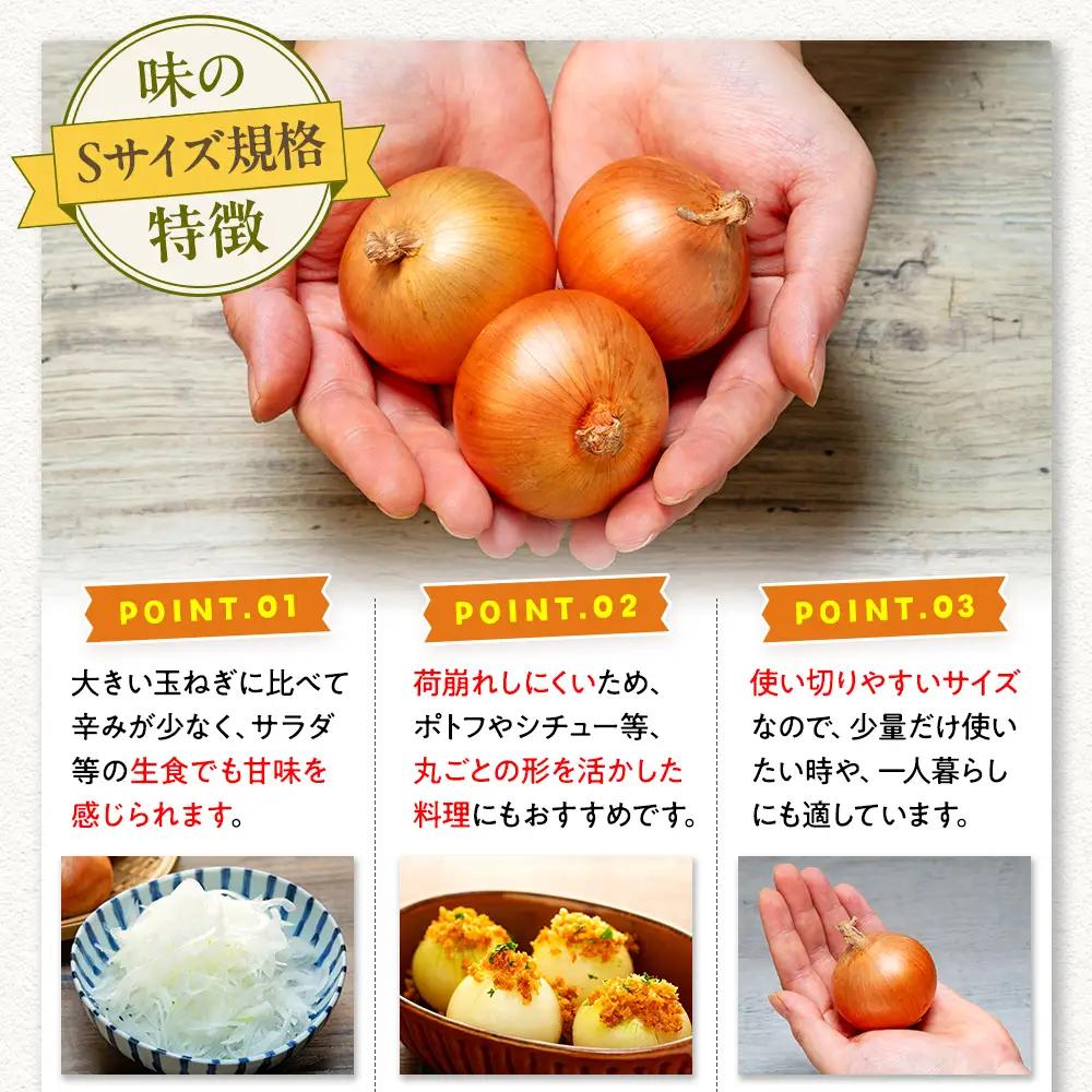 【先行受付】【訳あり】玉ねぎ S玉 5kg | わけあり 小ぶり たまねぎ タマネギ 玉葱 オニオン 大容量 甘い 国産 産地直送 サラダ向け ポトフ シチュー 煮込み 北海道 津別町 送料無料