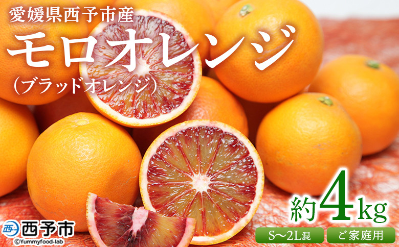 
            ＜愛媛県西予市産 モロオレンジ（ブラッドオレンジ）ご家庭用 約4kg＞ 訳あり 不揃い 果物 くだもの フルーツ みかん ミカン 蜜柑 柑橘 もろおれんじ 食べて応援 特産品 宇都宮物産 愛媛県 西予市【常温】『2026年2月中旬～3月下旬迄に順次出荷予定』
          