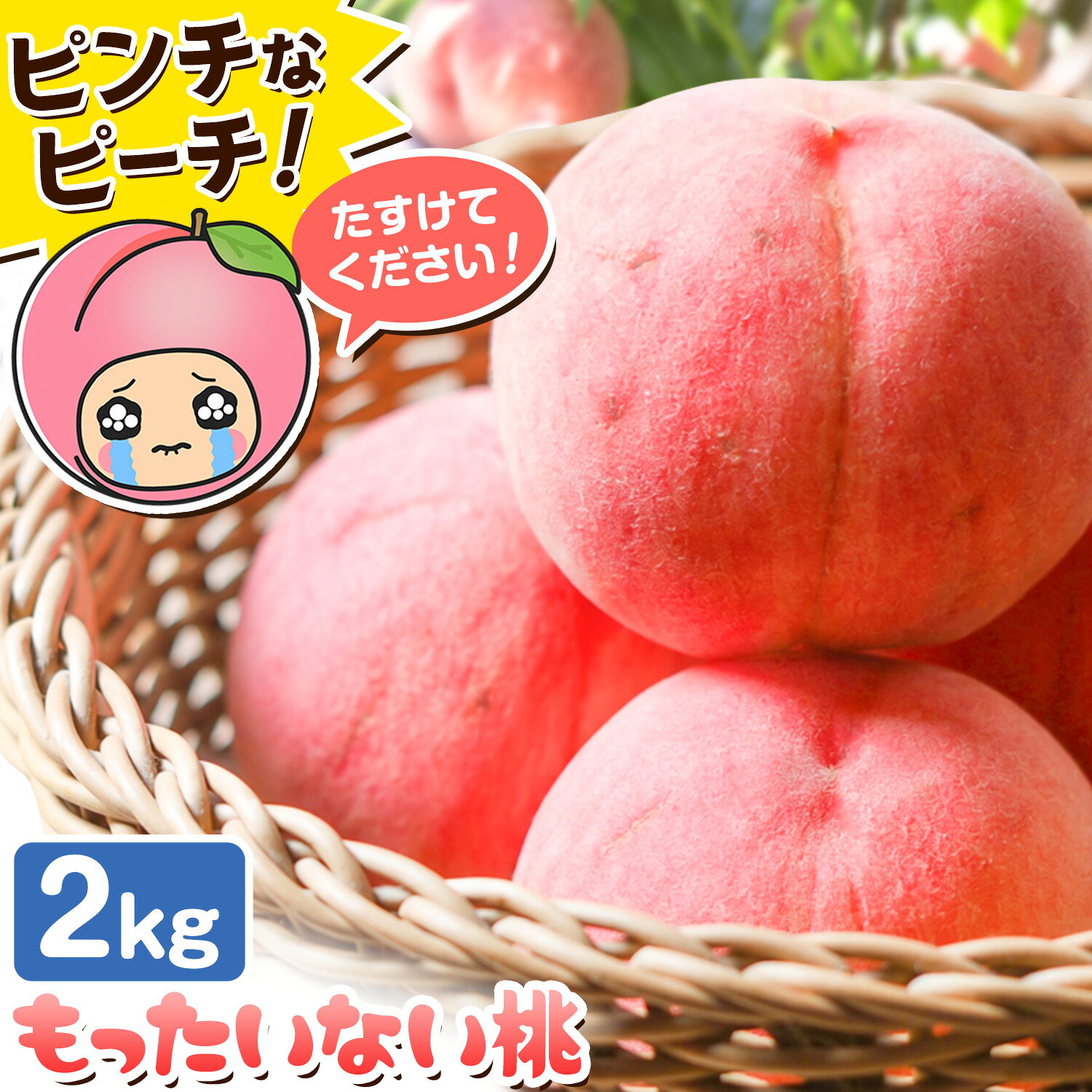 【ふるさと納税】桃 ピンチなピーチ! もったいない桃 約2kg ( 5玉 - 8玉 ) 訳あり《2026年6月中旬-8月上旬頃出荷》 サイズ混合 和歌山県 岩出市 もも モモ 果物 青果物 くだもの フルーツ SDGs フードロス 白鳳 川中島白桃 わけあり 桃 先行予約【配送不可地域あり】