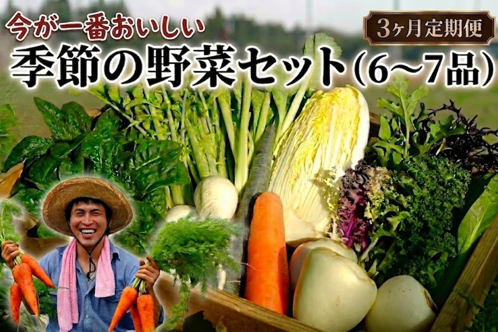 【定期便3回】季節の野菜セット（6～7品） 3ヶ月定期便