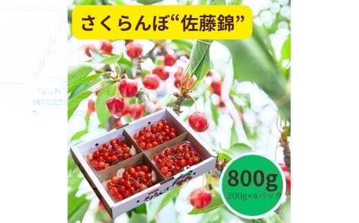 さくらんぼ（佐藤錦）８００ｇ　ご家庭用　0055-2501