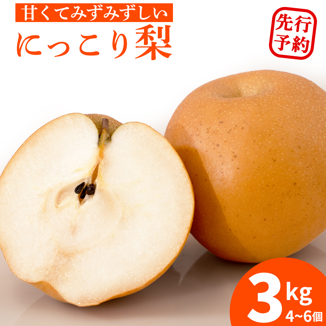 ＜農家直送＞梨 にっこり 4～6個 (3kg) 先行予約 2026年発送 完