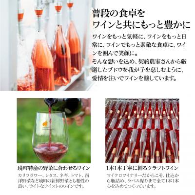 ふるさと納税 境町 【デイリー赤ワインハーフボトル6本セット】375ml6本 さかいまちワイナリー |  | 03