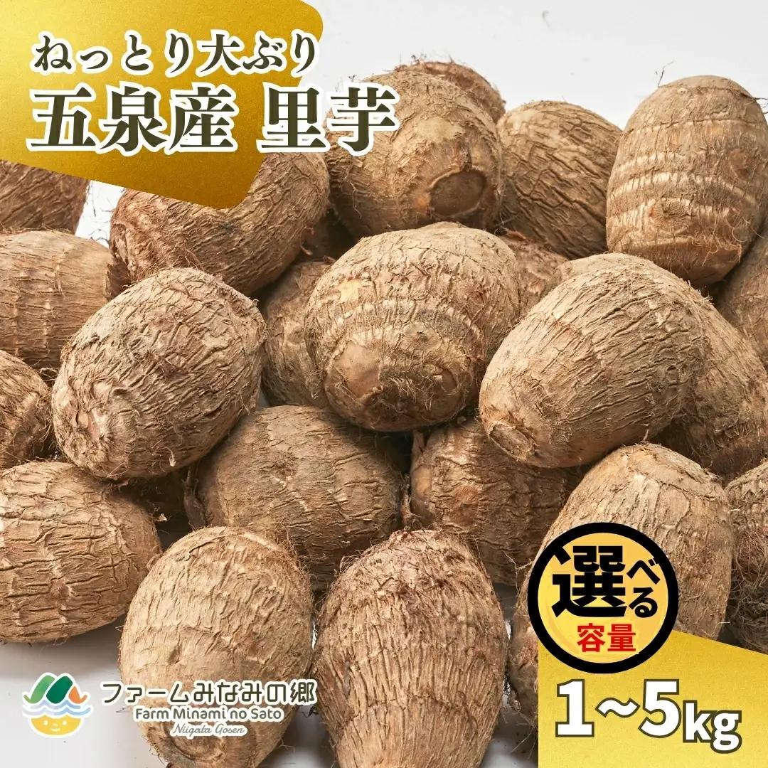 【令和8年産先行予約】里芋 五泉産 大玉さといも（2L以上）5kg | 新潟県 五泉市 さといも サトイモ 野菜
