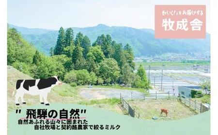 ＜牧成舎＞  自家製チーズたっぷりピザ おまかせ 7枚セット | ピザ 種類おまかせ おいしい 人気 簡単調理 チーズ 飛騨高山 b605