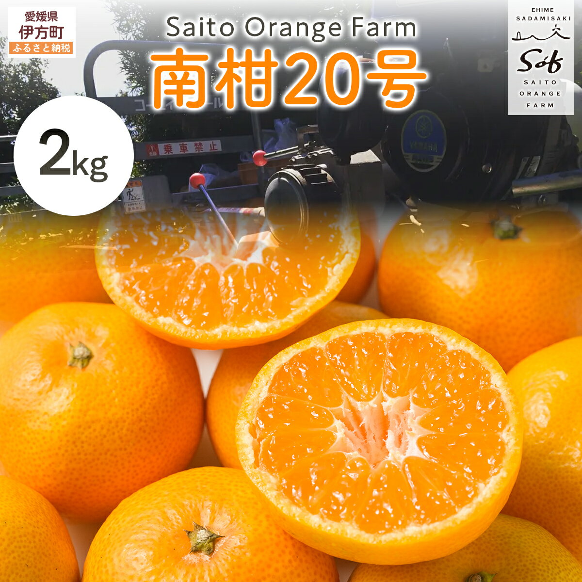 【ふるさと納税】【先行予約】Saito Orange Farmの南柑20号2kg（2026年12月下旬頃より順次発送予定）ふるさと納税 人気 おすすめ ランキング みかん ミカン 蜜柑 柑橘 南果20号 フルーツ 果物 産地直送 西宇和 Saito Orange Farm 愛媛県産 愛媛県 伊方町 送料無料 IKTAQ033