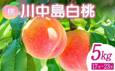 ＜先行予約＞ 福島県産 甘くてジューシー 桃 川中島 白桃 5kg（17玉～23玉） モモ フルーツ 果物 福島県 鏡石町  F6Q-143
