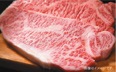 【全12回定期便】博多和牛 牛肉 サーロイン ステーキ 500g（250g×2枚）＜株式会社MEAT PLUS＞那珂川市 牛肉 サーロインステーキ サーロイン ステーキ 牛肉 牛肉定期便 和牛定期便 