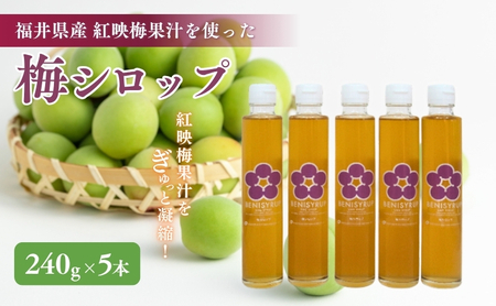 シロップ 5本 飲料 ドリンク 果実飲料 ジュース 梅 シロップ