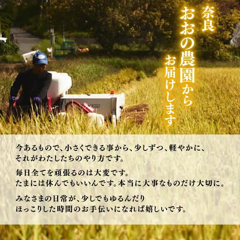 定期便 ヒノヒカリ 白米 5kg×10回