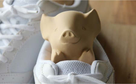 【美濃焼】くつ乾かす ブタちゃん 『ベージュ』【丸健製陶】 雑貨 靴 除湿 消臭 抗菌  [TAY003]