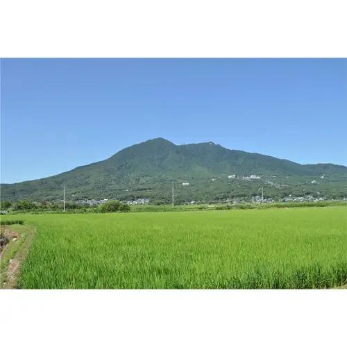 【令和7年産】茨城県産コシヒカリ10kg（5kg×2袋）精米 JA茨城むつみ ／ こしひかり 令和7年 新米 米 お米 おこめ こめ コメ 精米 白米 ご飯 国産米 10kg 10キロ おいしい お取