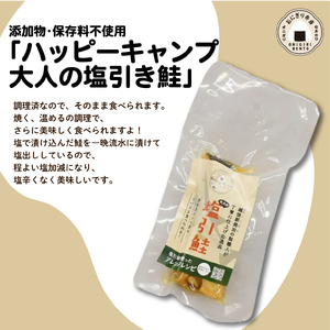 J49_01　ハッピーキャンプ炊き込みご飯と塩引き鮭とにんにく塩セット【 キャンプ アウトドア 炊き込みご飯 米 塩引き鮭 にんにく 保存食 備蓄食 防災 セキカワカナモノ 】