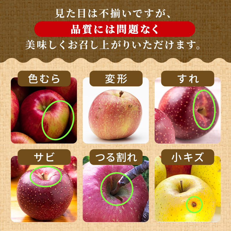 りんご【1～2月発送】糖度13度以上 訳あり 家庭用 ぐんま名月 約10kg【青森りんご】
