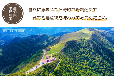 「風車のまちの台所」 季節の農産物 5～7種類