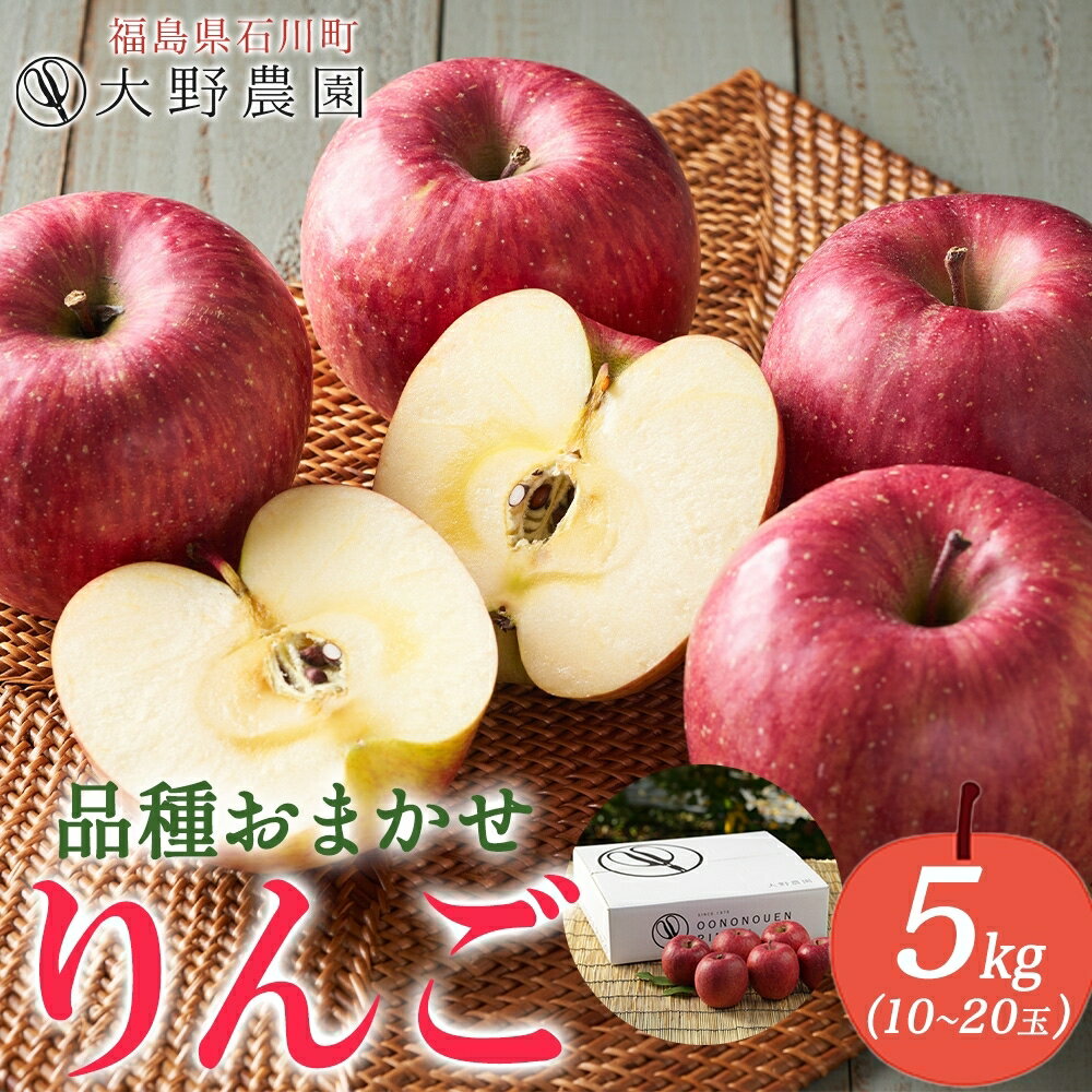 【ふるさと納税】りんご5kg 品種お任せ 10～20玉 ｜ リンゴ 旬 ランダム 林檎 果物 フルーツ 甘い アップル 産直 大野農園 福島県 石川町【19009CA0101】