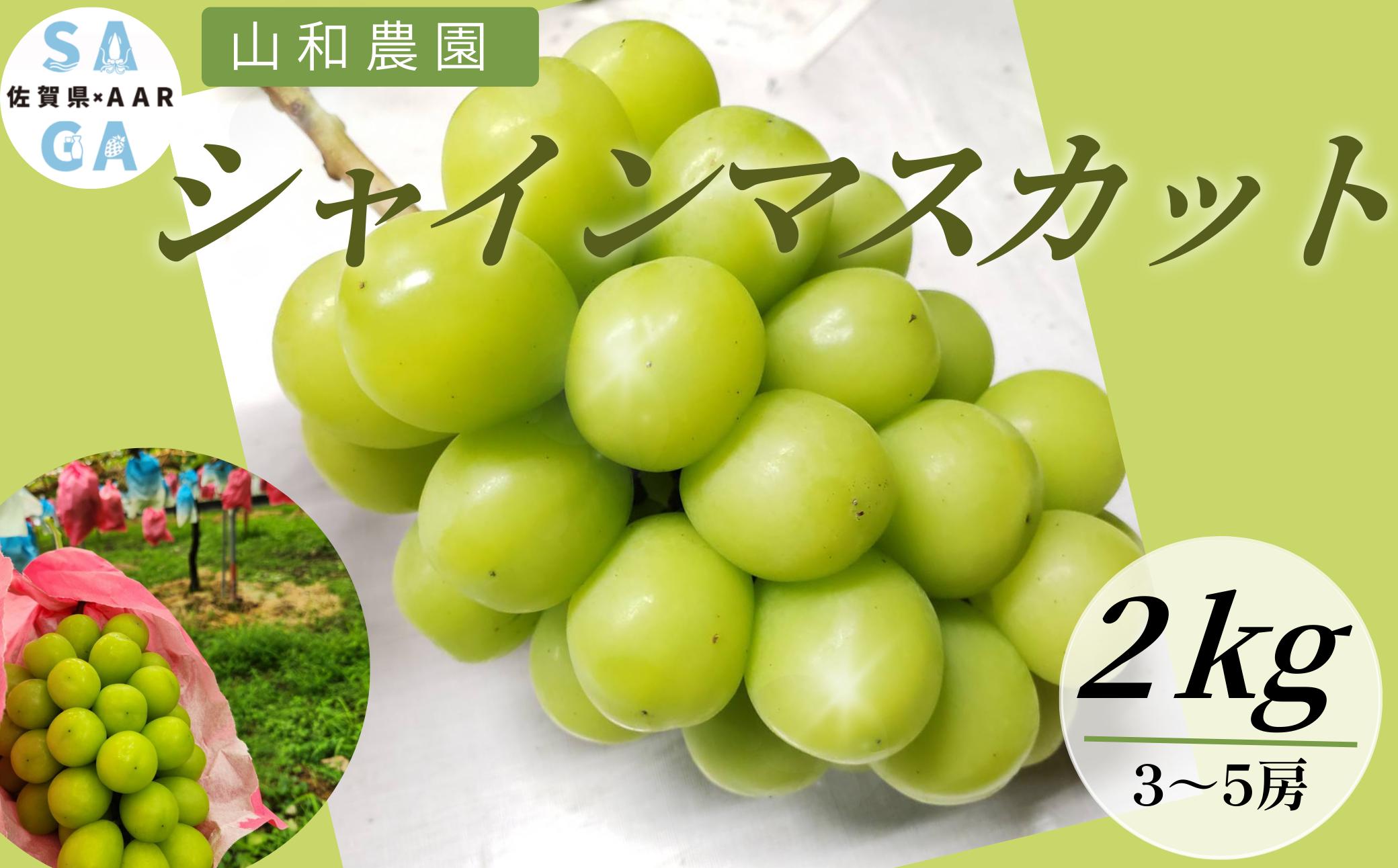 
                  山和農園 シャインマスカット2kg
                
