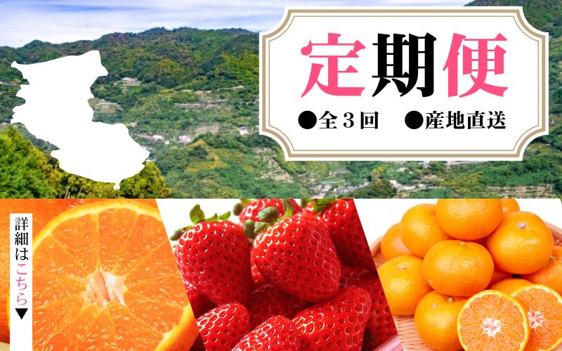 
            【定期便】●全3回● 産地直送 定期便【温州みかん・まりひめ・紀州デコ】 / フルーツ 果物 みかん いちご  旬 定期便  【tkb352】
          