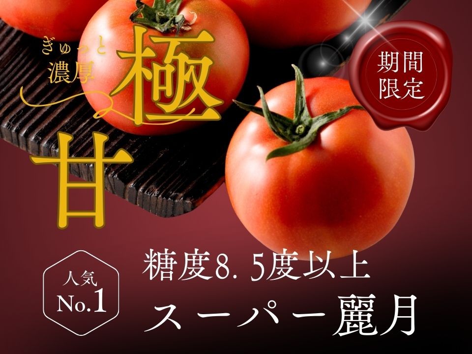 
                  【糖度8.5度以上】スーパー麗月トマト 4kg｜冬期育ちの濃厚な甘み・産地直送の完熟トマト
                