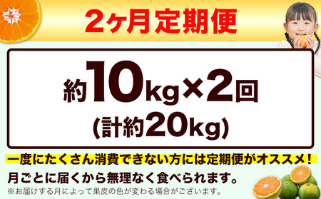 【先行予約】【2ヶ月定期便】訳あり みかん ひとくちもぎたてみかん 約 10kg (10kg×1箱)  S-3Sサイズ 訳あり S SS 3S ご家庭用 20kg 熊本県産 （荒尾市産含む） 小玉みか