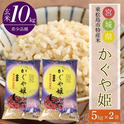 ふるさと納税 東松島市 【令和7年産】 新米 宮城県産 超稀少品種 かぐや姫 玄米 10kg 宮城県 東松島市 天授のお米