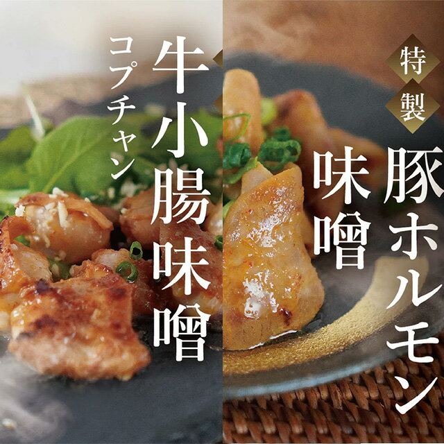 【ふるさと納税】ホルモン2種詰合せ ＜選べる容量＞ ＜200g×各1袋・200g×各2袋＞