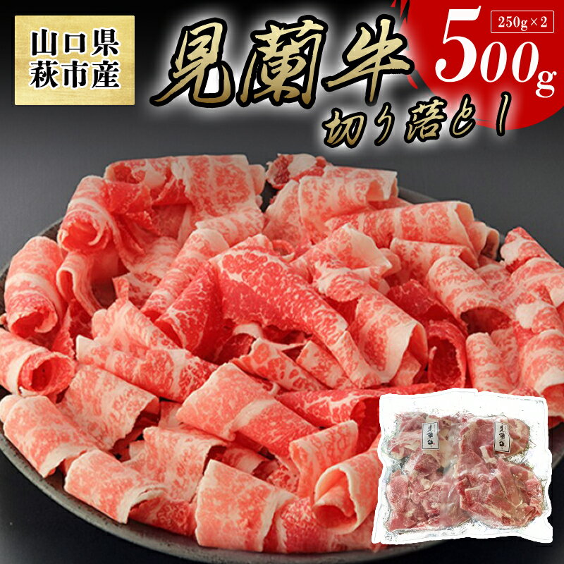 【ふるさと納税】【数量限定】山口県萩市産 見蘭牛 切り落とし 500g (250g×2)国産 肉 お肉 牛 和牛 日本産 食品 グルメ 冷凍 冷凍食品 おかず 惣菜 お弁当 非常食 ご飯のお供 ごはん ご飯 食卓 山口県 萩市 美味しい おいしい プレゼント ギフト プチギフト 贈り物