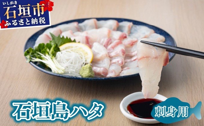 石垣島 ハタ 販売記念お試しお刺身用 | 勝水産 ミーバイ ヤイトハタ 沖縄県石垣市 石垣 沖縄 石垣市 石垣島 KS-16