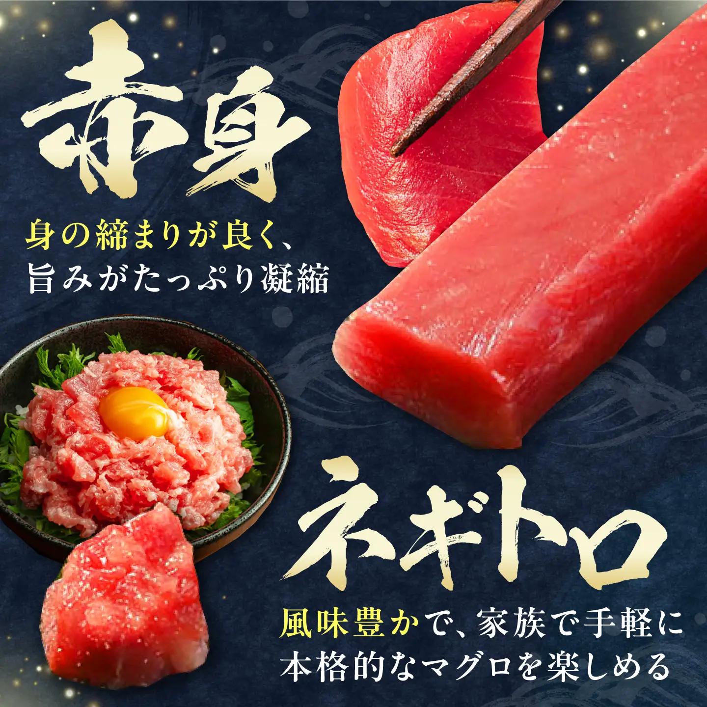 【1週間以内発送】対馬産 本マグロ 4種 計550g（赤身/中トロ/大トロ/ネギトロ）[WAH003] 本まぐろ  スピード発送 最速発送 最短発送
