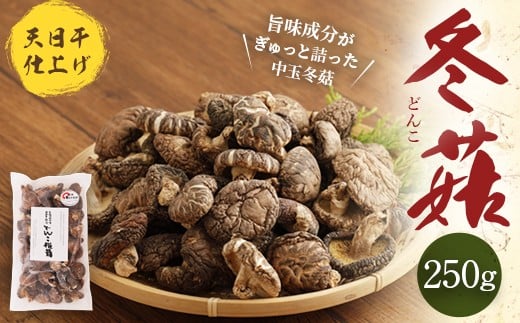 015-295 豊後大野市産 天日干仕上 中玉 冬? どんこ 250g 干ししいたけ 椎茸