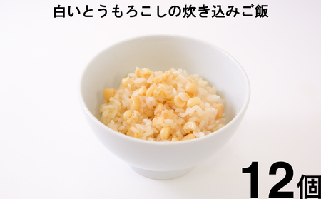 【ごはんパック】 白いとうもろこしの炊き込みご飯 古代米おかゆ 32個セット