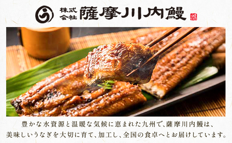 s641 【隔月・定期便3回】鹿児島県産 鰻蒲焼真空2尾セット！(計約840g・約140g×2尾×3回) 鹿児島 九州産 国産 うなぎ ウナギ 鰻 土用の丑の日 蒲焼き うな重 ひつまぶし 定期便 隔