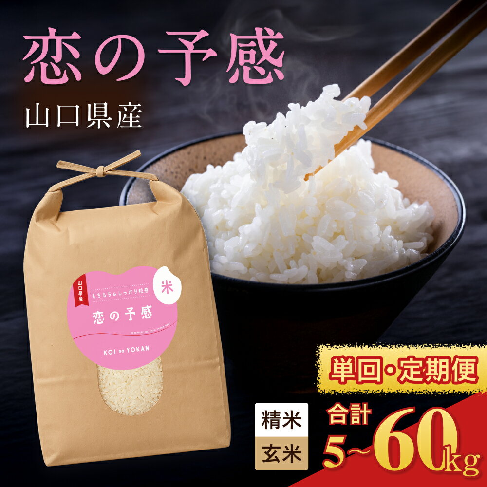 【ふるさと納税】 数量限定 令和7年産 お米 5kg 10kg 15kg 20kg 30kg 選べる 容量 回数 定期便 恋の予感 米 こめ 白米 精米 玄米 お取り寄せ 食品 おすすめ ギフト 贈答 家庭用 便利 お手軽 備蓄 ご飯 お弁当 おにぎり 山口県産 産地直送 美味しい米 下関 山口